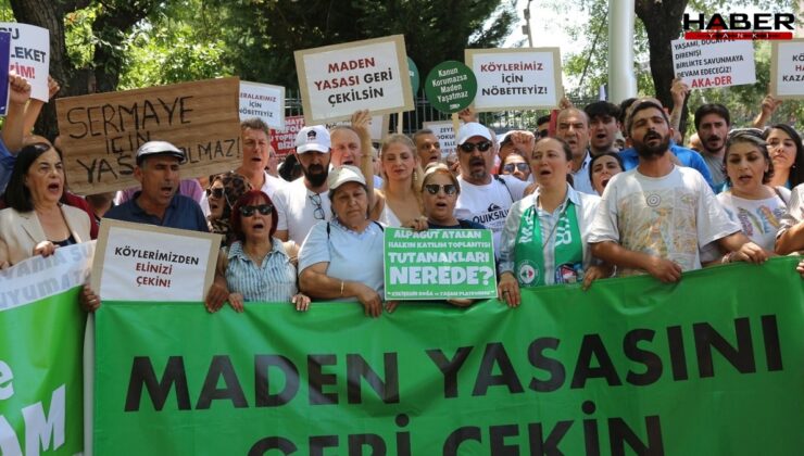 Zeytinliklerini koruyan köylülerden kamuoyuna açık mektup