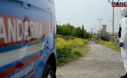 2 ilde başlayan hastalık hızla yayılıyor! Türkiye büyük bir tehlikeyle karşı karşıya