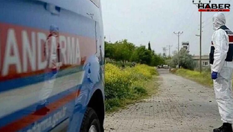 2 ilde başlayan hastalık hızla yayılıyor! Türkiye büyük bir tehlikeyle karşı karşıya