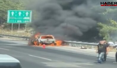 Adana'da korkutan yangın: Otomobille başladı, ormana sıçradı