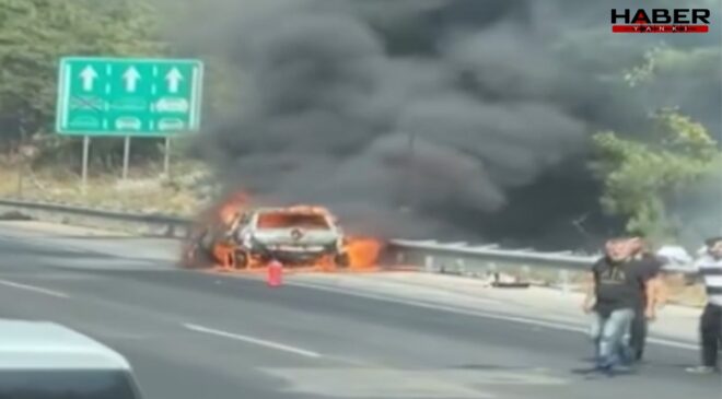 Adana'da korkutan yangın: Otomobille başladı, ormana sıçradı