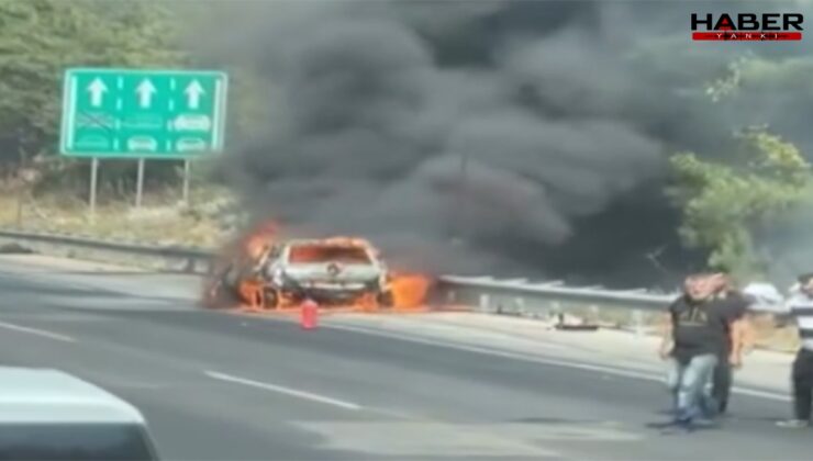 Adana'da korkutan yangın: Otomobille başladı, ormana sıçradı