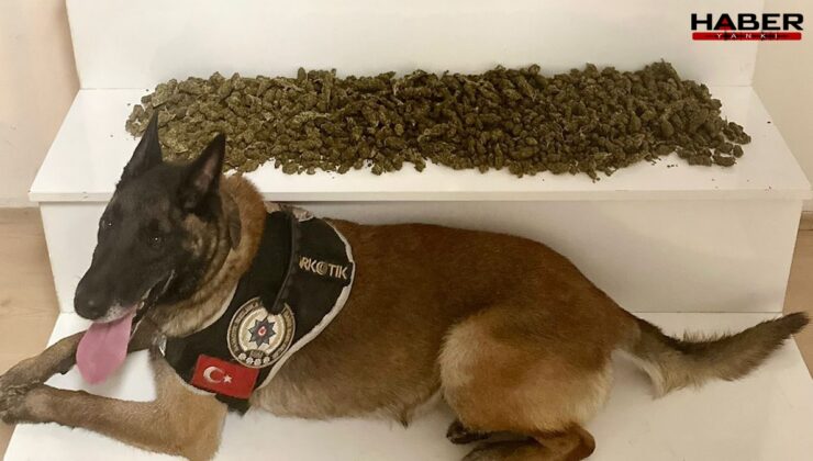 Balıkesir'de 2 ayrı uyuşturucu operasyonu