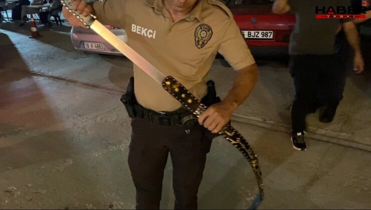 Bekçiler fark etti, kemer gibi duran kılıftan döner bıçağı çıktı