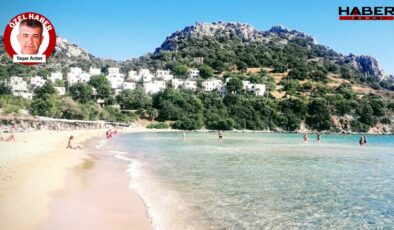 Bodrum’da Uluslararası Balık Festivali yapılacak.