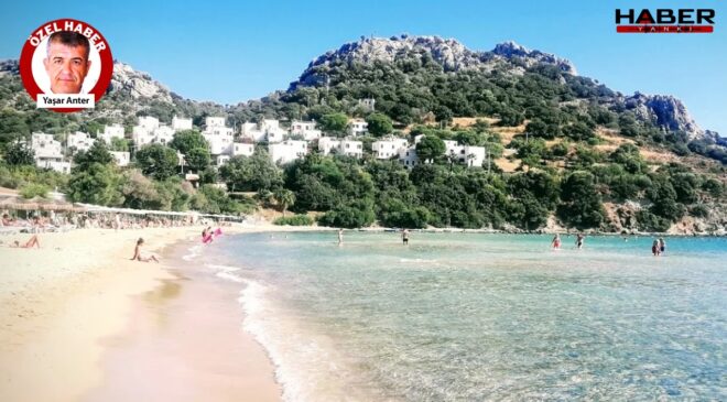 Bodrum’da Uluslararası Balık Festivali yapılacak.