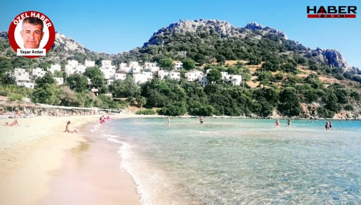 Bodrum’da Uluslararası Balık Festivali yapılacak.