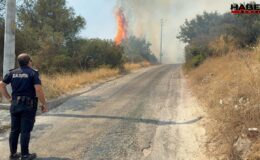 Bodrum'da maki yangını
