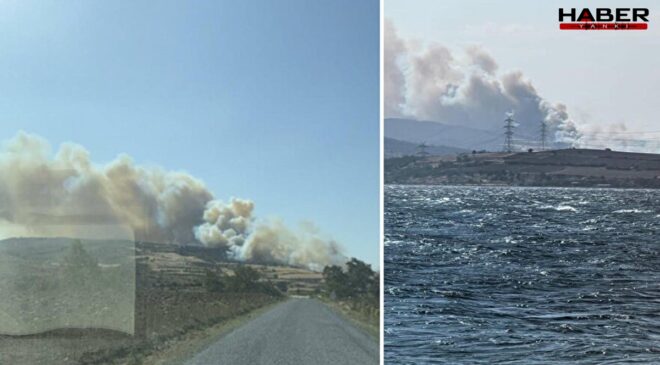 Çanakkale'de yangın çıktı! Ekipler seferber oldu