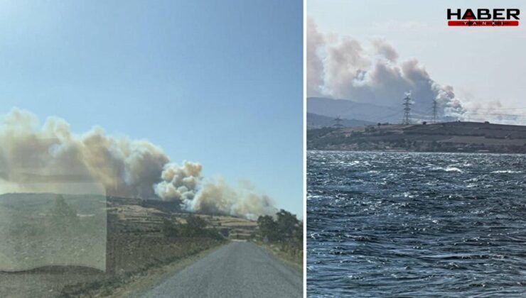 Çanakkale'de yangın çıktı! Ekipler seferber oldu