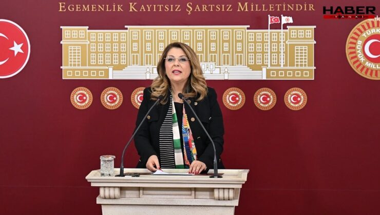 CHP’li Gezmiş’ten fındık taban fiyatına sert tepki: “195 TL Kabul Edilemez”