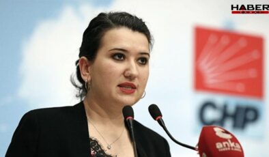 CHP'li Gökçe Gökçen: 'Tutuklu Belediye Başkanı Ahmet Özer komisyonda dinlenmeli'