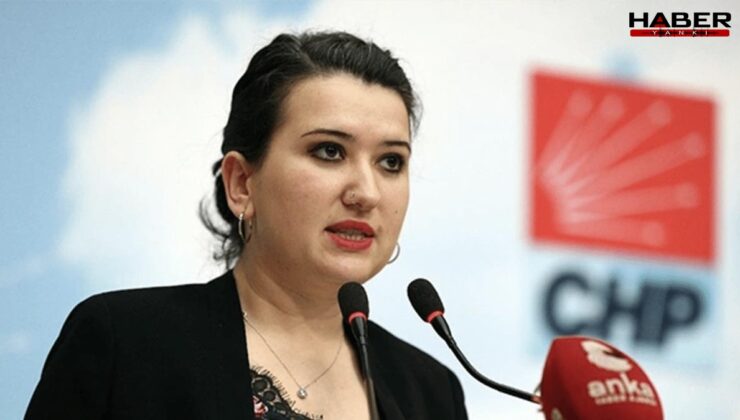 CHP'li Gökçe Gökçen: 'Tutuklu Belediye Başkanı Ahmet Özer komisyonda dinlenmeli'