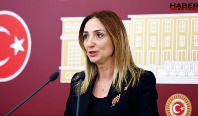 CHP'li Nazlıaka: "Cumhuriyetimize yönelik tüm saldırıların karşısında durmaya devam edeceğiz"