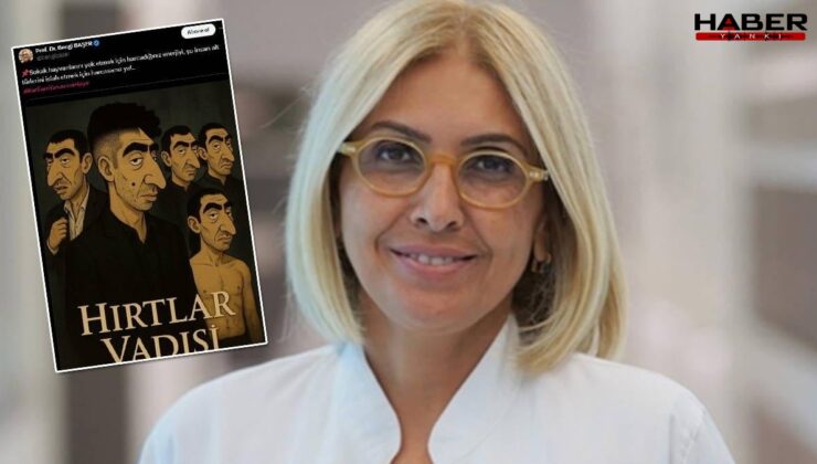 DEM Parti'den Bengi Başer hakkında suç duyurusu