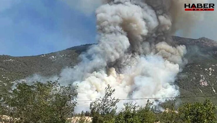 Denizli'de yangın paniği! Alevler ormanlık alanda sıçradı