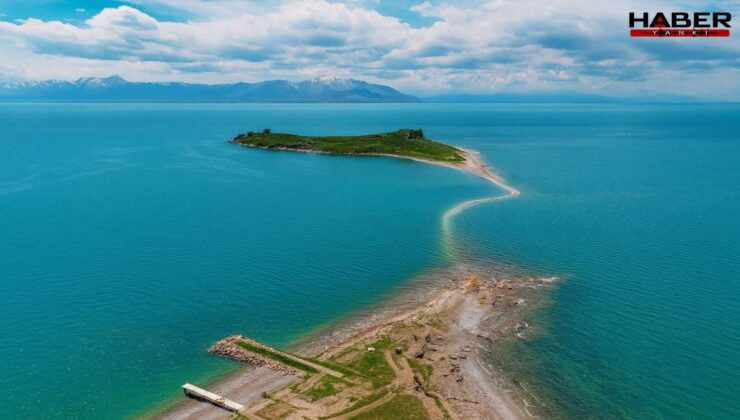 Efsaneydi gerçek oldu: 'Van Gölü Canavarı'nı rekor paraya sattı