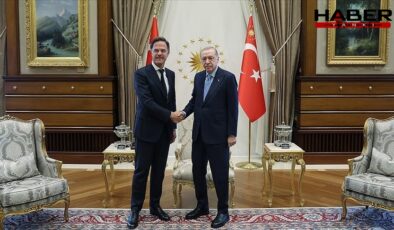 Erdoğan, Rutte ile görüştü