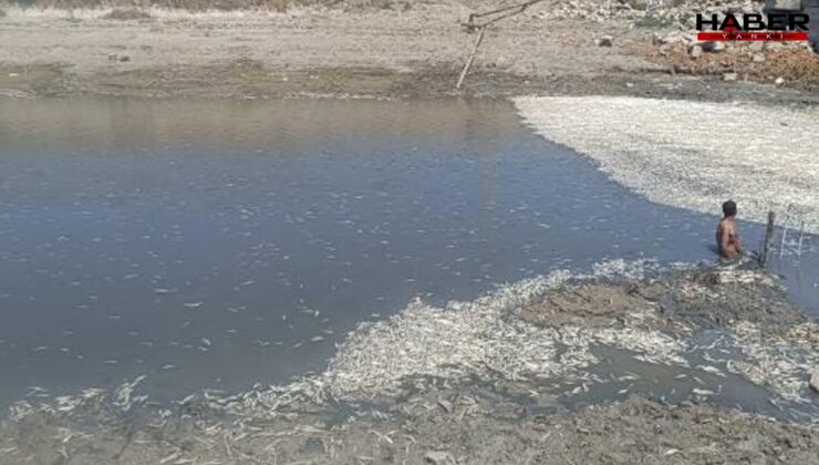 Hatay’da endişelendiren görüntü