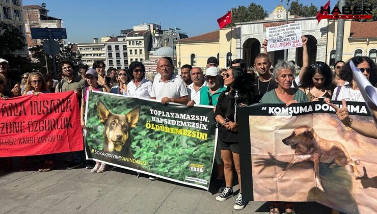 Hayvan Hakları Savunucularından Valilik önünde protesto