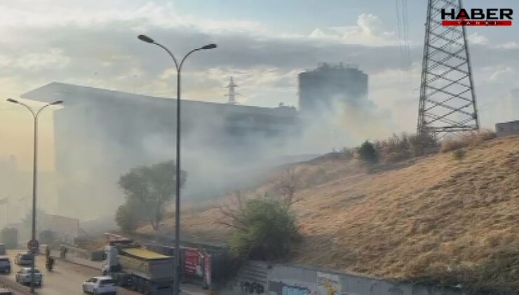 İstanbul'da otluk yangını