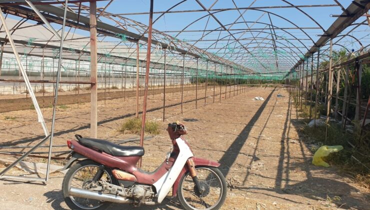 Kanlı sera baskını: İki kişiyi gözünü kırpmadan öldürdü
