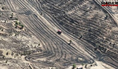 Kırıkkale’de yangın felaketinde 15 Bin dönüm arazi zarar gördü