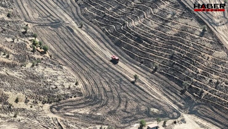 Kırıkkale’de yangın felaketinde 15 Bin dönüm arazi zarar gördü
