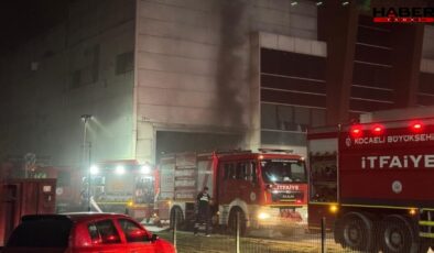 Kocaeli'de geri dönüşüm fabrikasında yangın