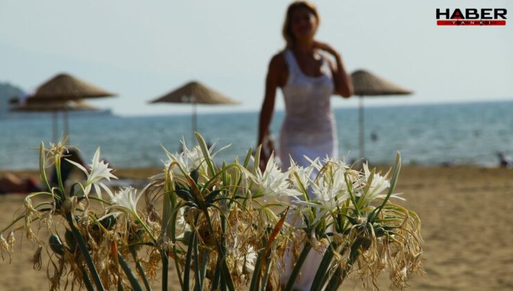 Koparmak 387 bin TL, ezmek ise bedava!