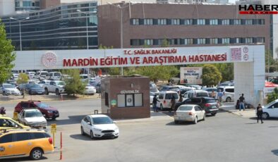 Mardin’de TIR’ın çarptığı down sendromlu Mehmet Hadi Çelik hayatını kaybetti