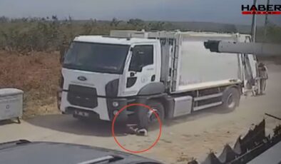 Sakarya'da kan donduran görüntü: Ezerek öldürdükleri köpekleri çöp kamyonuna atıp götürdüler