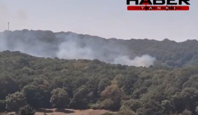 Sarıyer'de orman yangını çıktı