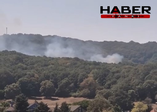 Sarıyer'de orman yangını çıktı