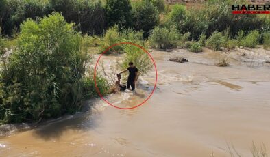 Siirt'te çaya giren 3 çocuktan 1'i kayıp