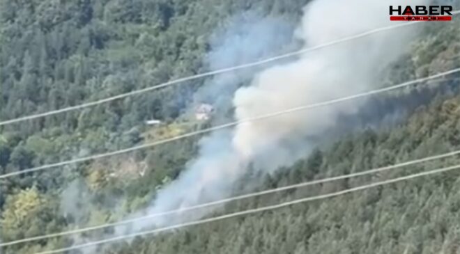 Sinop'ta orman yangını korkuttu