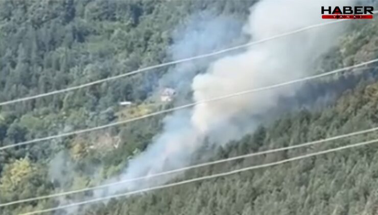 Sinop'ta orman yangını korkuttu