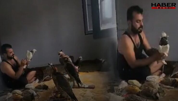 Suriyeli kuş çetesine gözaltı! Türkiye'de avladıkları kuşları Araplara sattıkları ortaya çıktı
