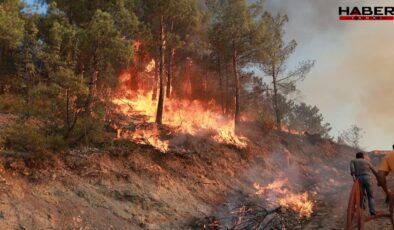 Tokat Gıj Gıj Tepesi’nde orman yangını kontrol altına alındı