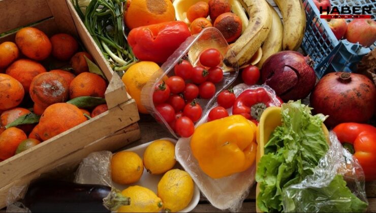 Yemekteki pis kokudan adalet torpili çıktı!