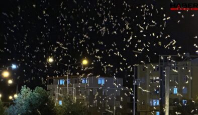 Yüz binlercesi kenti sardı, 'ölüm dansı' başladı
