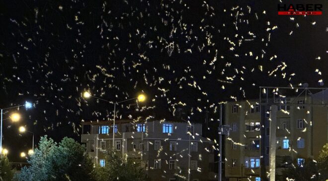 Yüz binlercesi kenti sardı, 'ölüm dansı' başladı