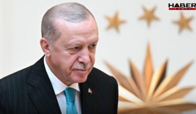 AKP'de yeni anayasa için gaza basıldı: 11 vekil Saray'da sunuma hazır…