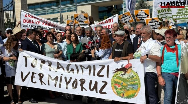 AYM'ye zeytin yasası başvurusu