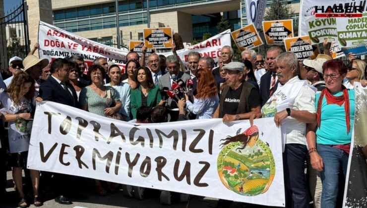 AYM'ye zeytin yasası başvurusu