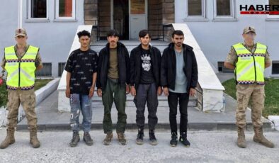 Bitlis Tatvan’da yasa dışı göç operasyonu: 4 şahıs yakalandı