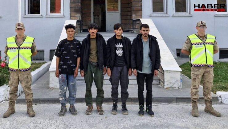Bitlis Tatvan’da yasa dışı göç operasyonu: 4 şahıs yakalandı