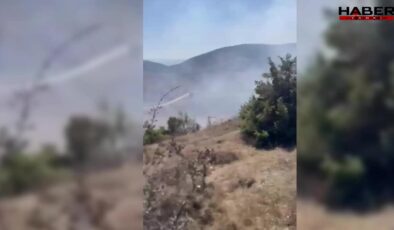 Boyabat'ta otluk alanda çıkan yangın büyümeden söndürüldü