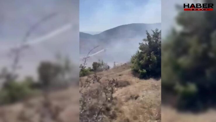 Boyabat'ta otluk alanda çıkan yangın büyümeden söndürüldü