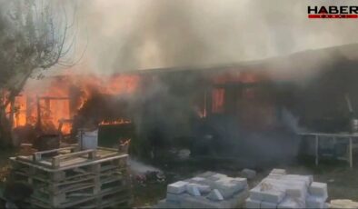 Bursa'da bağ evi kül oldu